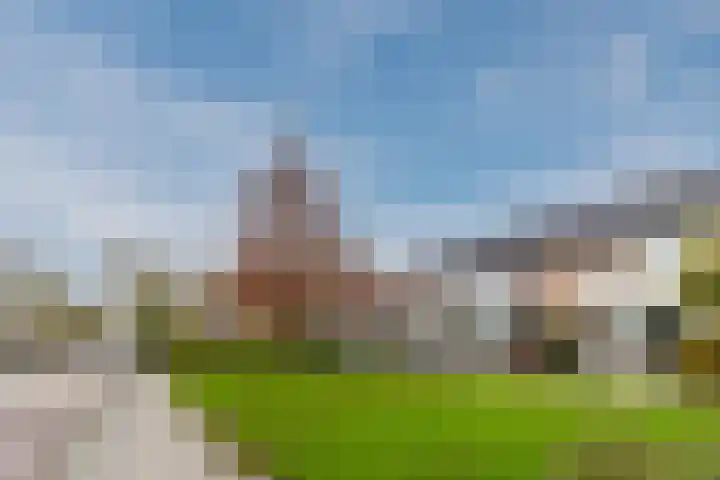 Goudseweg 83 Bodegraven thumbnail 9