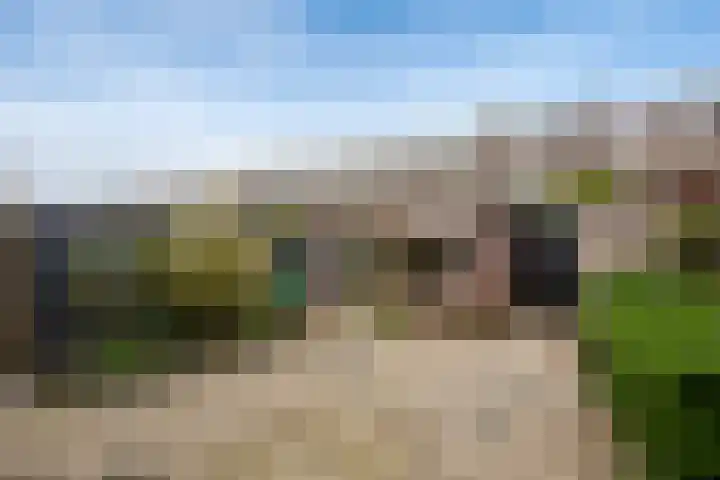 Goudseweg 91 Bodegraven thumbnail 14