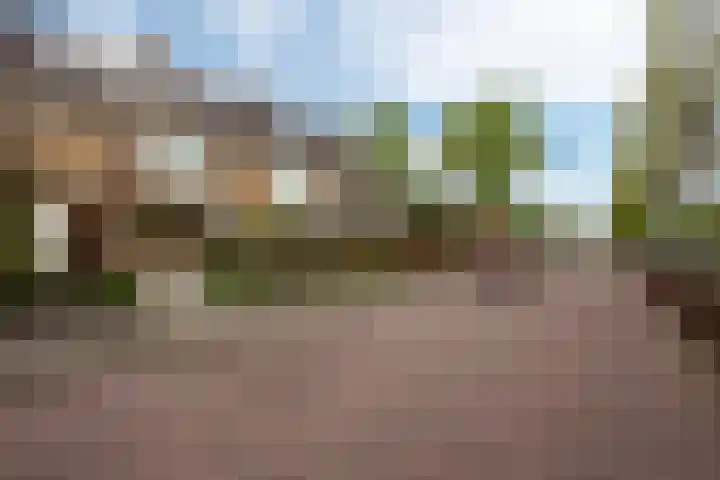 Goudseweg 91 Bodegraven thumbnail 31