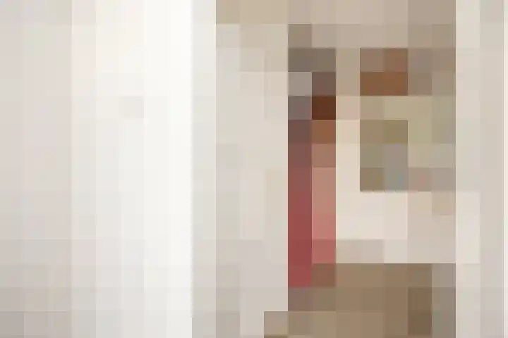Goudseweg 91 Bodegraven thumbnail 6
