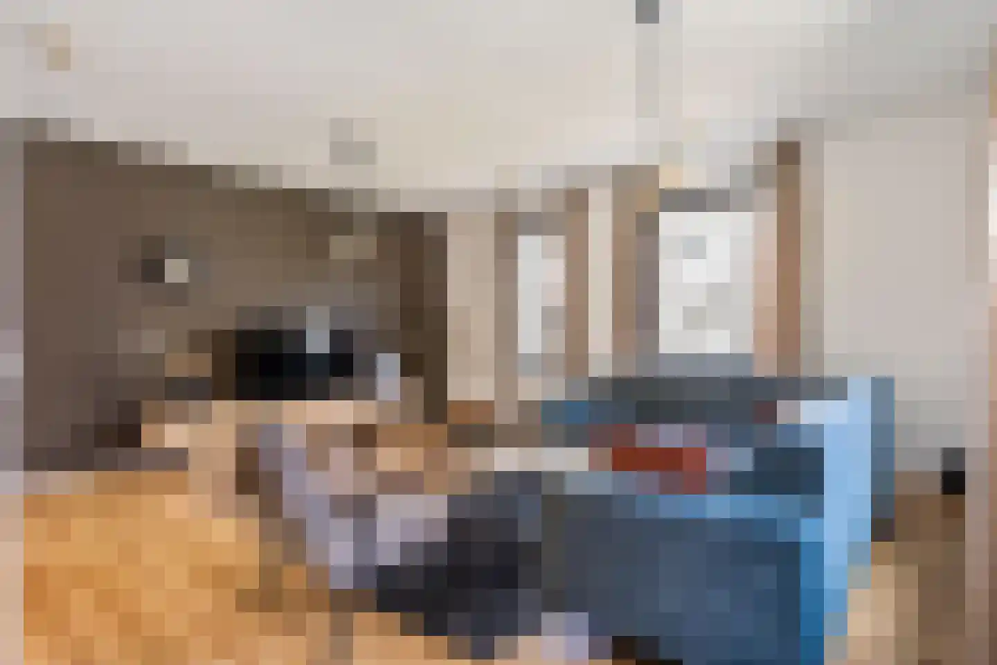 Goudslagersgaarde 20 Den Haag thumbnail 16