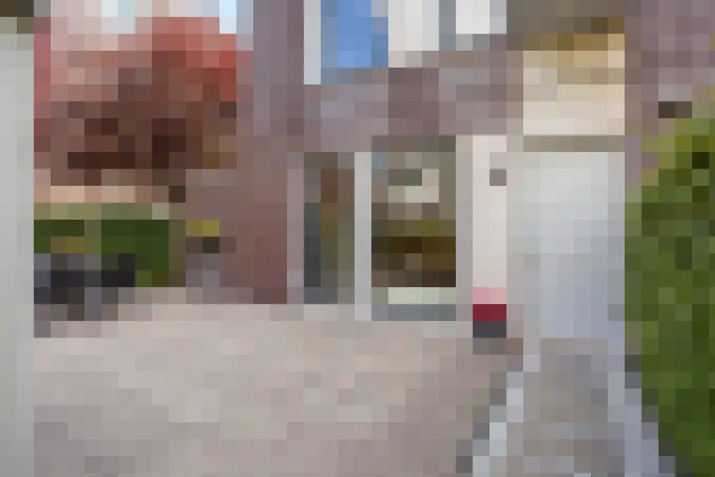 Goudslagersgaarde 20 Den Haag thumbnail 31