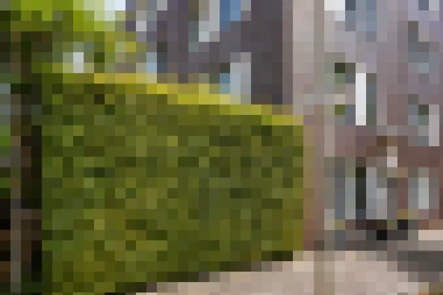 Goudslagersgaarde 20 Den Haag thumbnail 42
