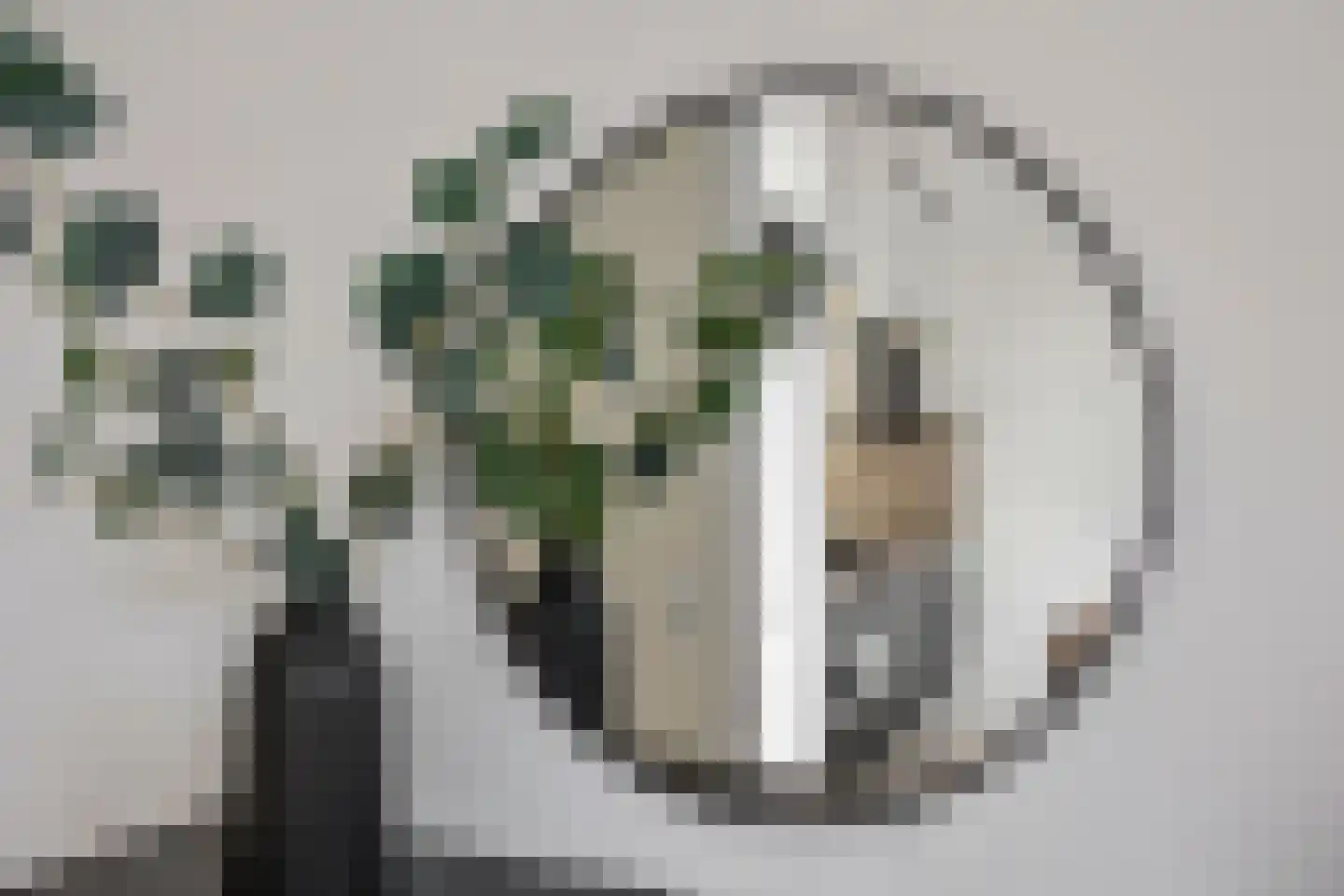 Goudslagersgaarde 20 Den Haag thumbnail 7