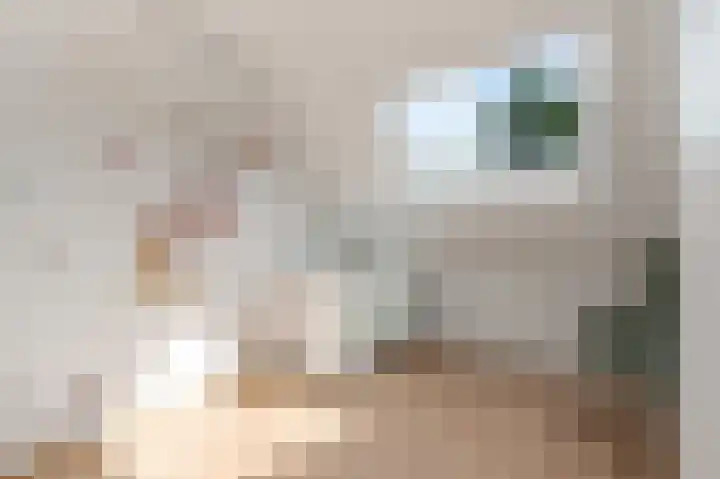 Goudsmedengilde 30 Houten thumbnail 29