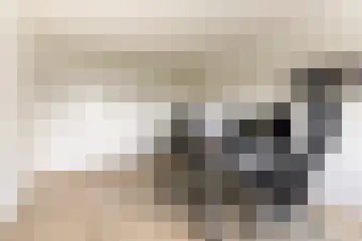 Goudsmedengilde 30 Houten thumbnail 32