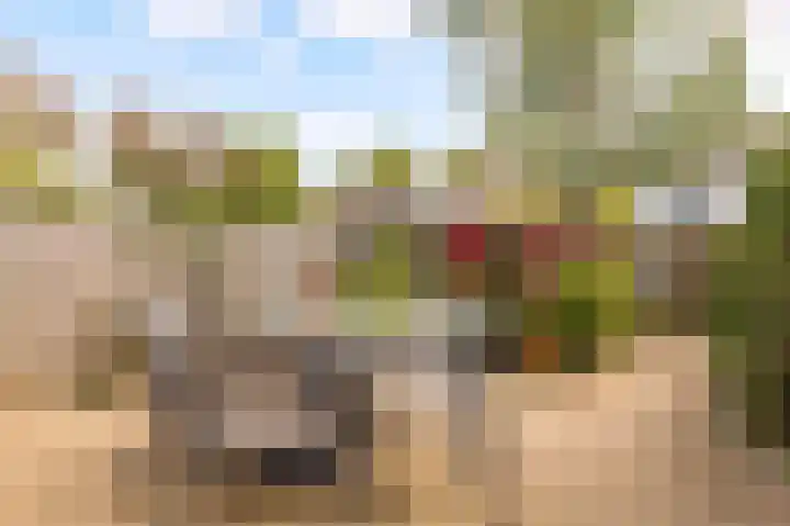 Goudsmedengilde 30 Houten thumbnail 35