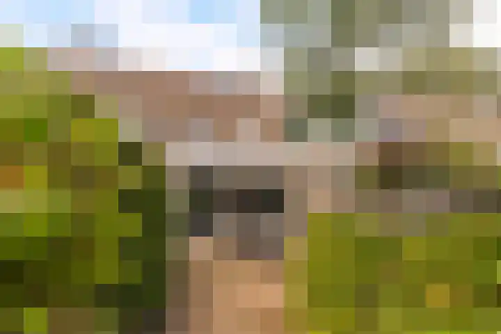 Goudsmedengilde 30 Houten thumbnail 36