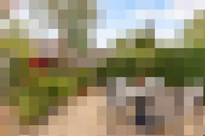 Goudsmedengilde 30 Houten thumbnail 37