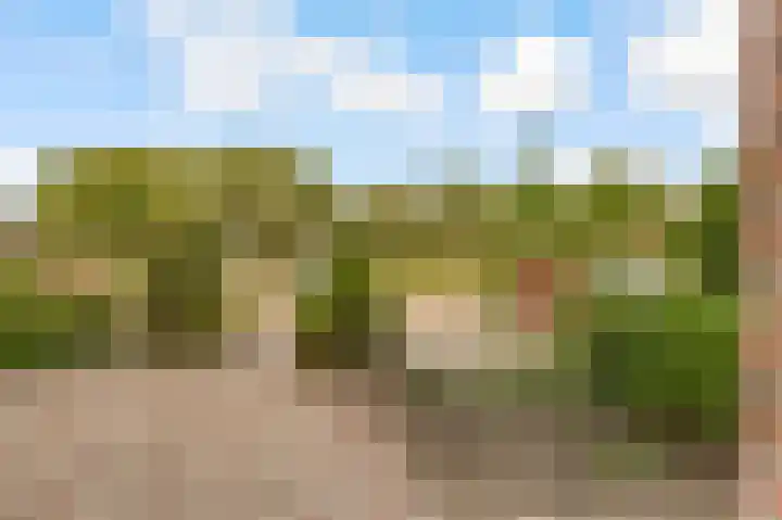 Goudsmedengilde 30 Houten thumbnail 4