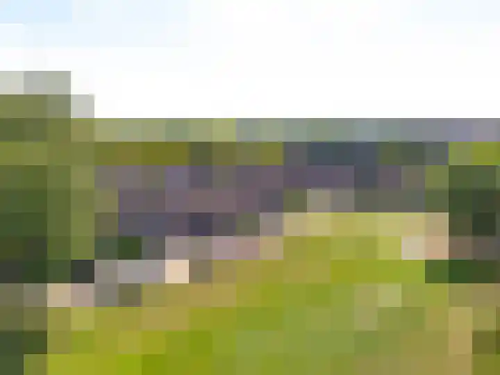Goudsmedengilde 30 Houten thumbnail 41
