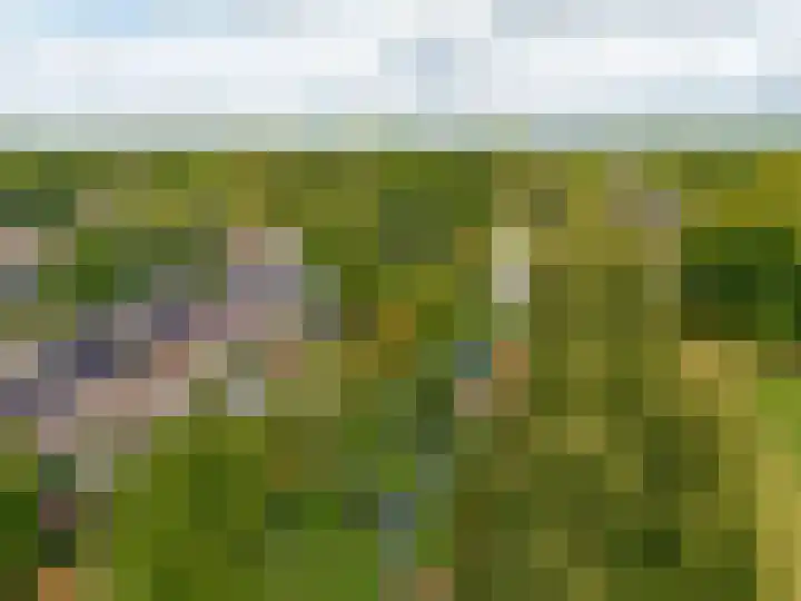 Goudsmedengilde 30 Houten thumbnail 42