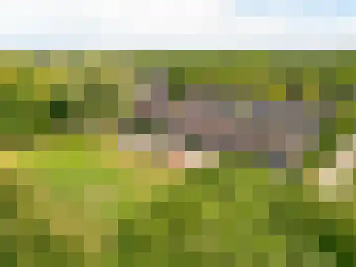 Goudsmedengilde 30 Houten thumbnail 43