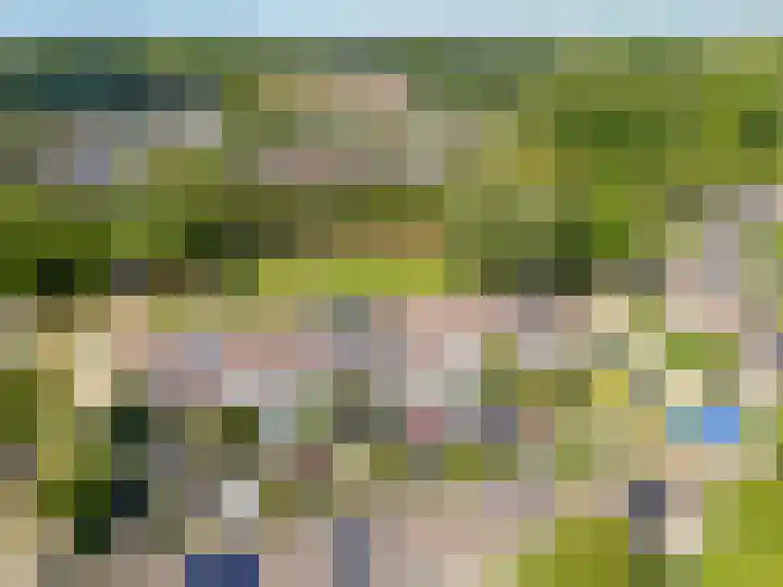 Goudsmedengilde 30 Houten thumbnail 44