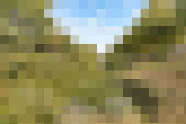 Goudsmedengilde 30 Houten thumbnail 45