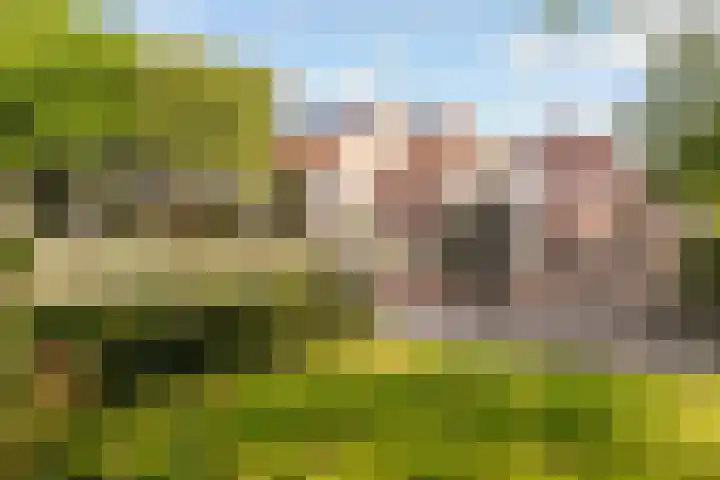 Goudsmedengilde 30 Houten thumbnail 47