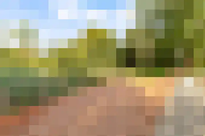 Goudsmedengilde 30 Houten thumbnail 49