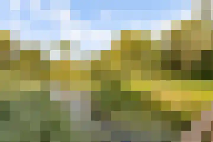 Goudsmedengilde 30 Houten thumbnail 50