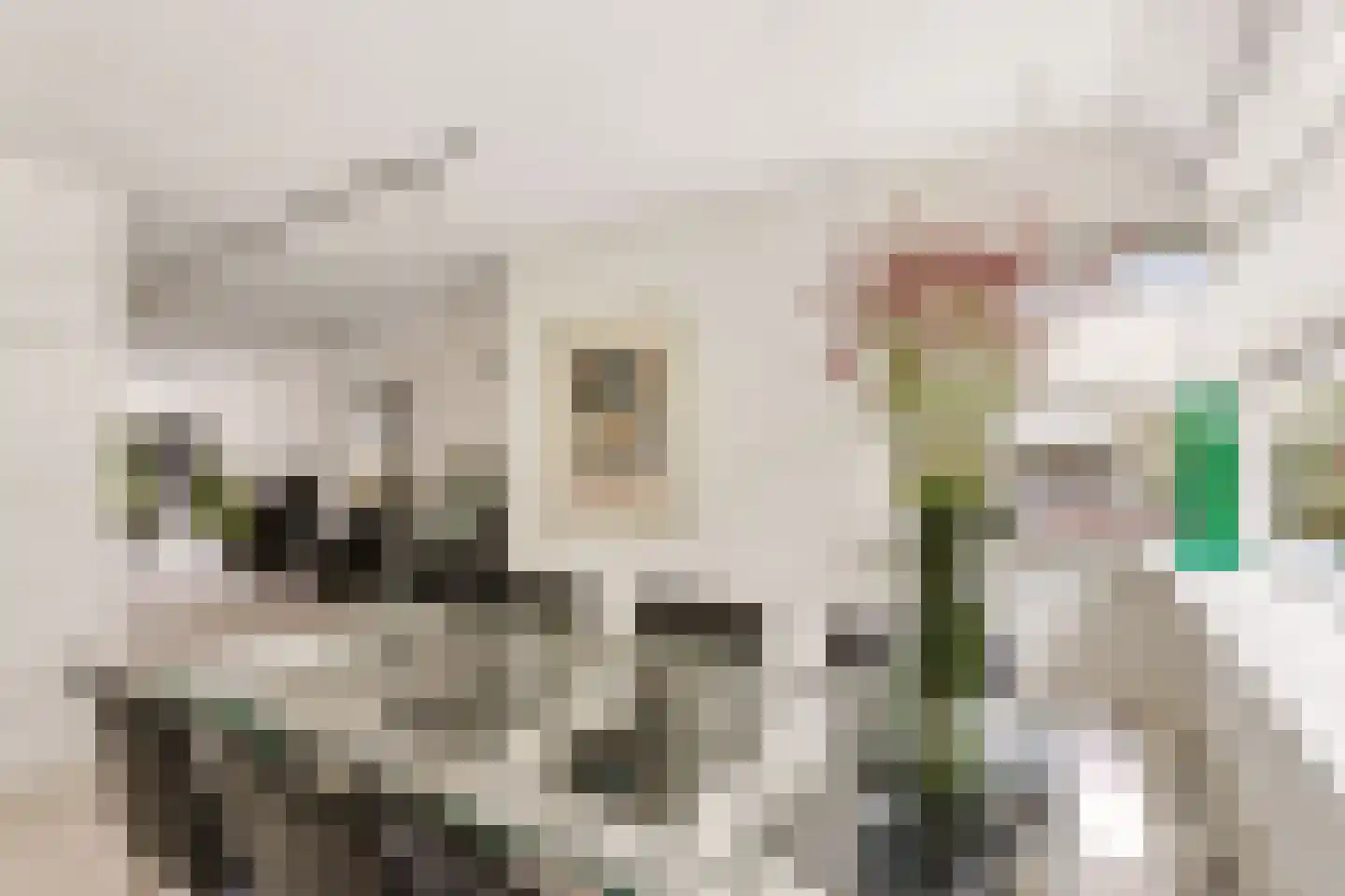 Goudsmedengilde 4 Houten thumbnail 16