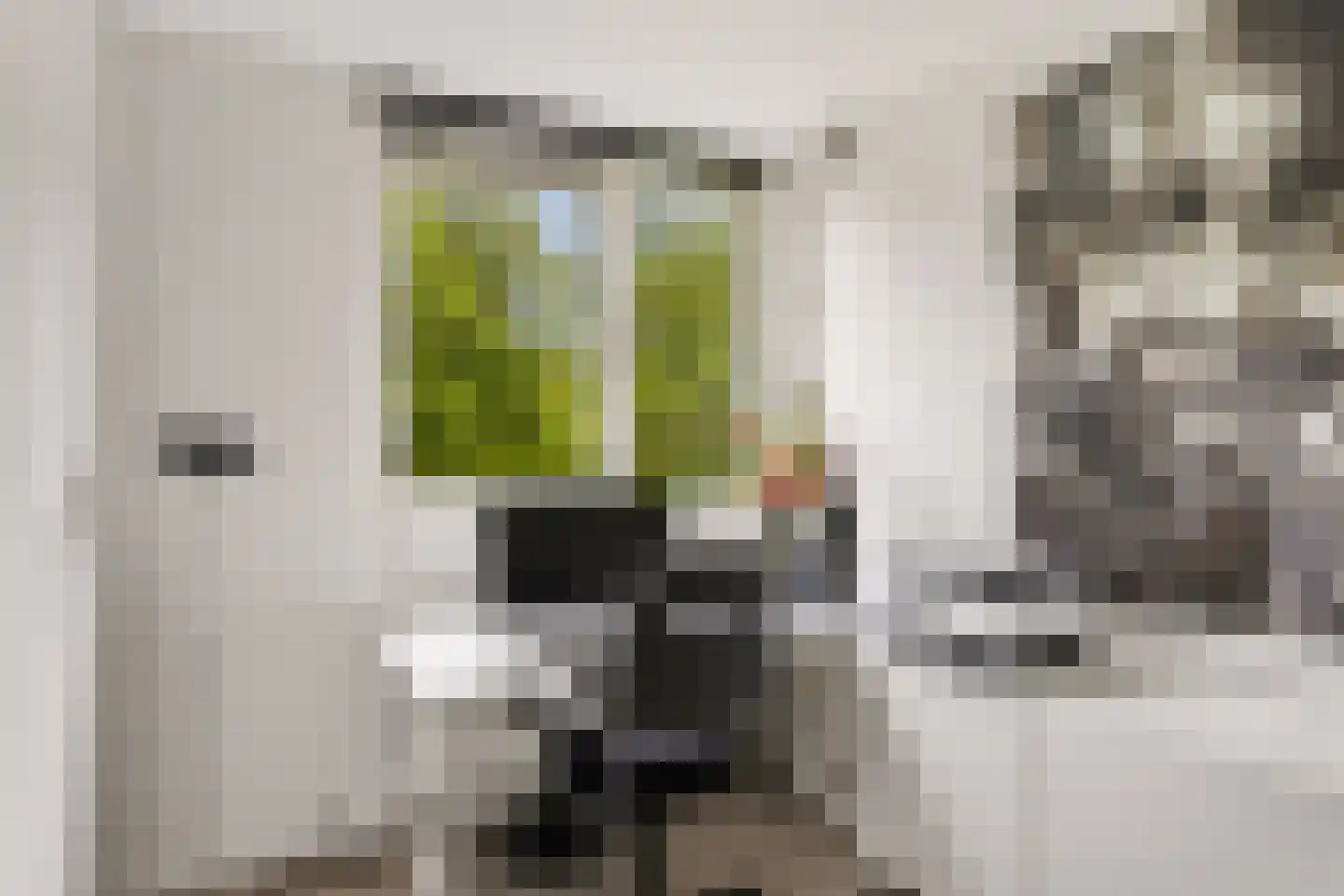 Goudsmedengilde 4 Houten thumbnail 24