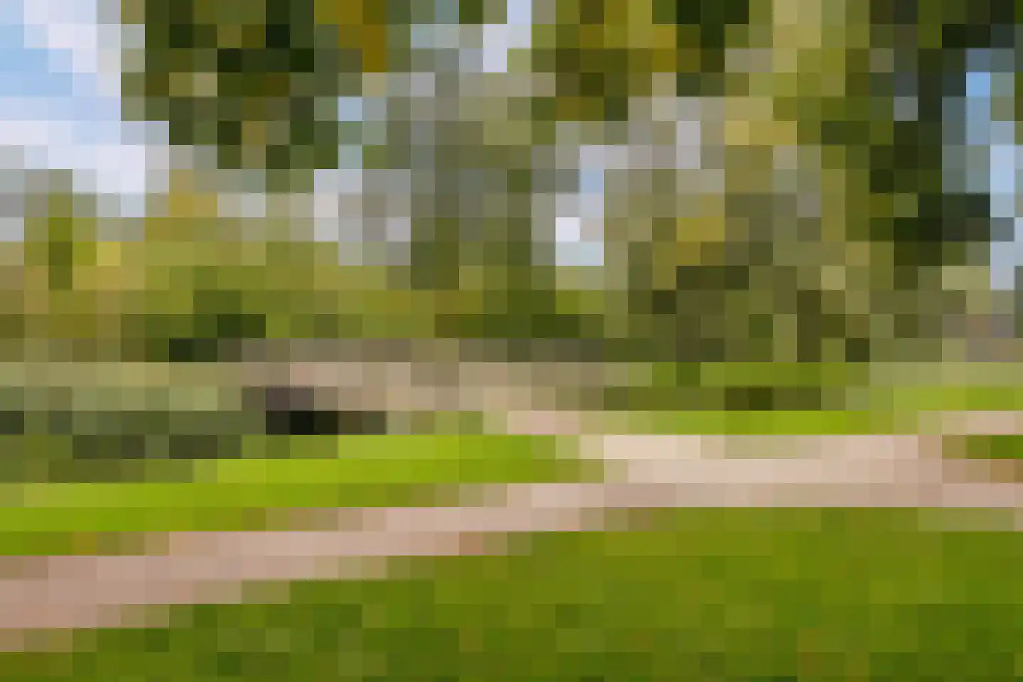 Goudsmedengilde 4 Houten thumbnail 48