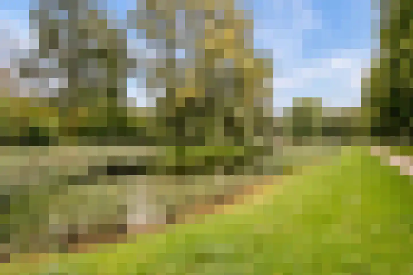Goudsmedengilde 4 Houten thumbnail 49