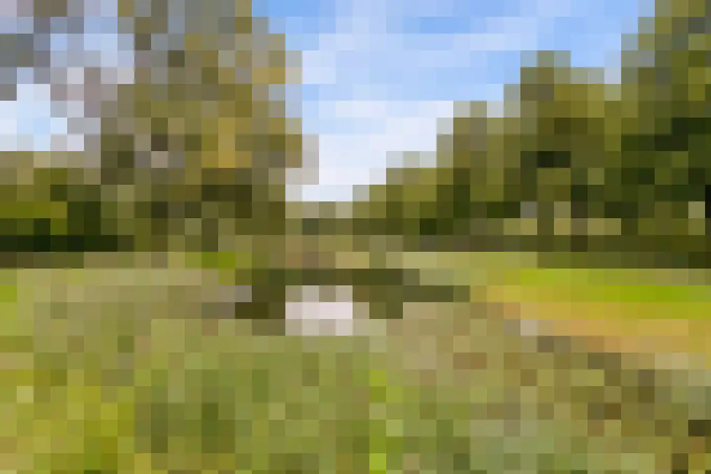 Goudsmedengilde 4 Houten thumbnail 52