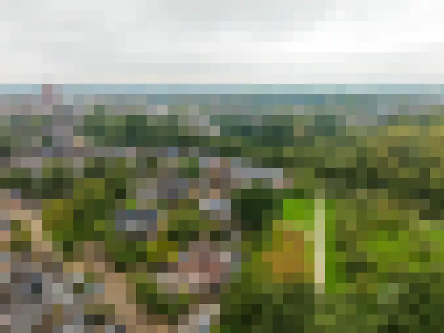 Goudsmedengilde 4 Houten thumbnail 56