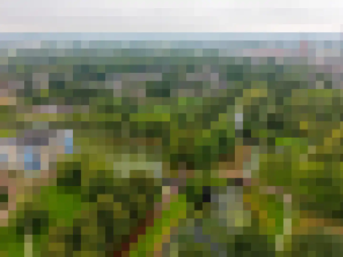 Goudsmedengilde 4 Houten thumbnail 57