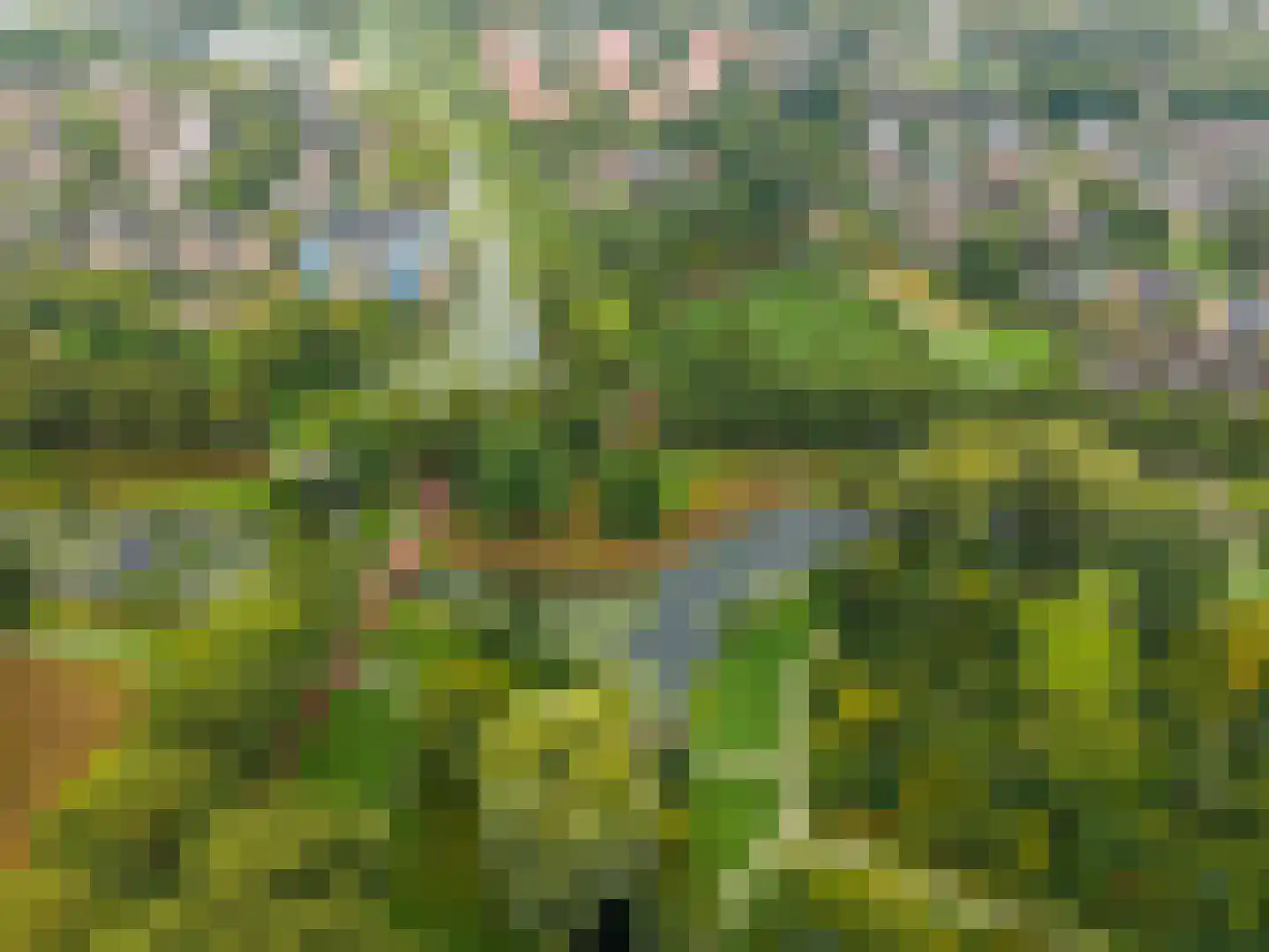 Goudsmedengilde 4 Houten thumbnail 58