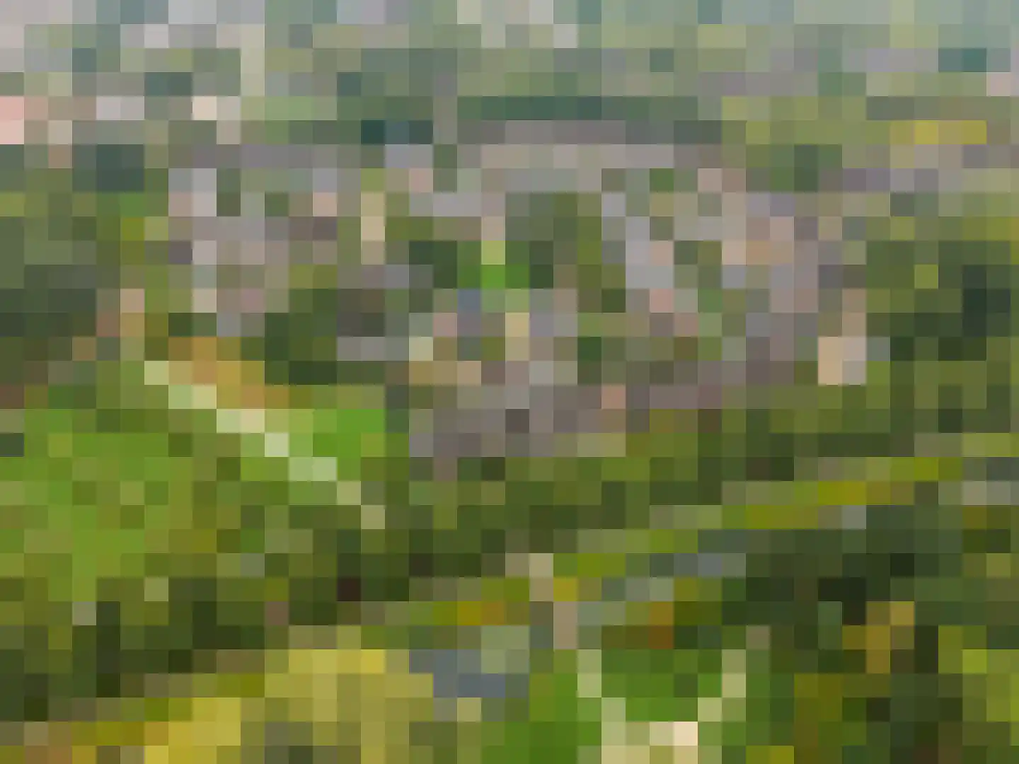 Goudsmedengilde 4 Houten thumbnail 59