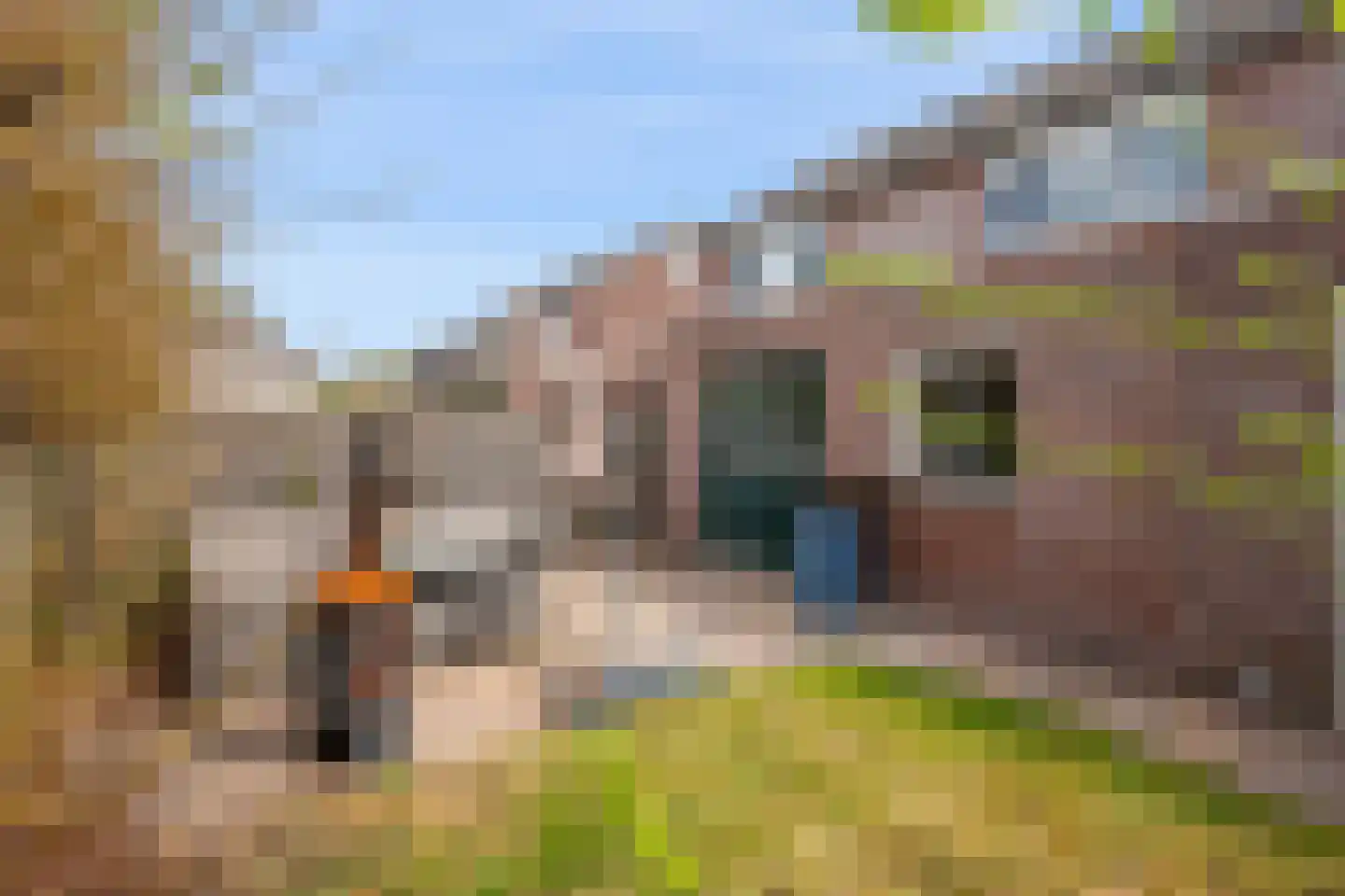 Goudsmedenstraat 23 Veendam thumbnail 33