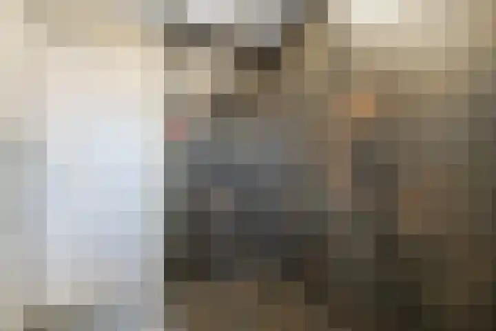 Goudsmedenstraat 27 Veendam thumbnail 17