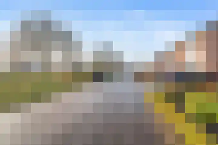 Goudsmedenstraat 27 Veendam thumbnail 30