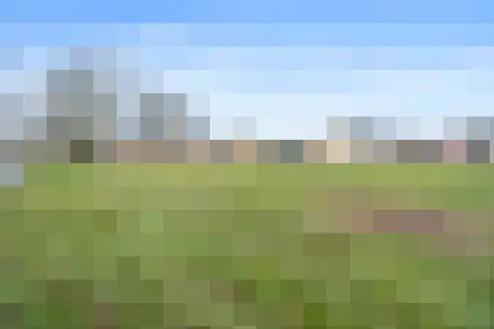 Goudsmedenstraat 27 Veendam thumbnail 32