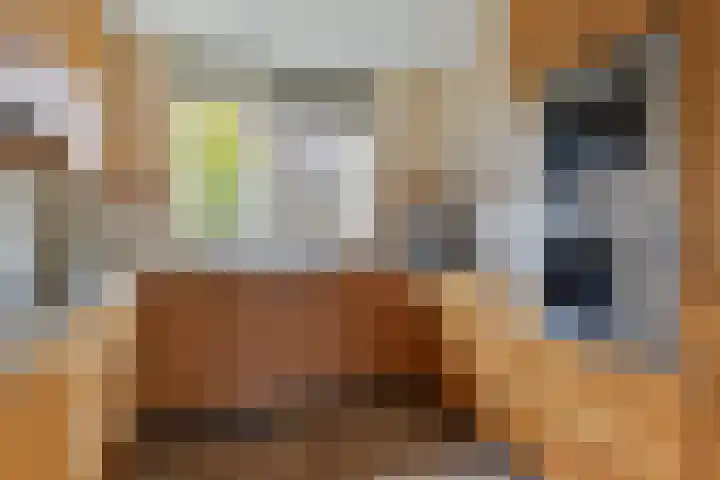 Goudsmedenstraat 5 Veendam thumbnail 21