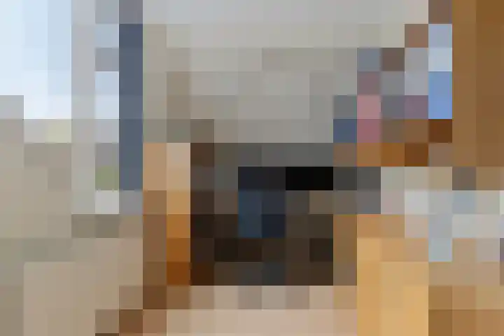 Goudsmedenstraat 5 Veendam thumbnail 37
