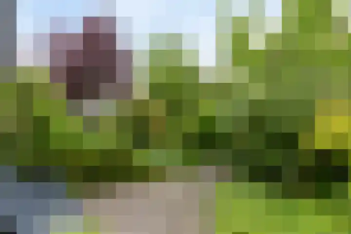 Goudsmedenstraat 5 Veendam thumbnail 55