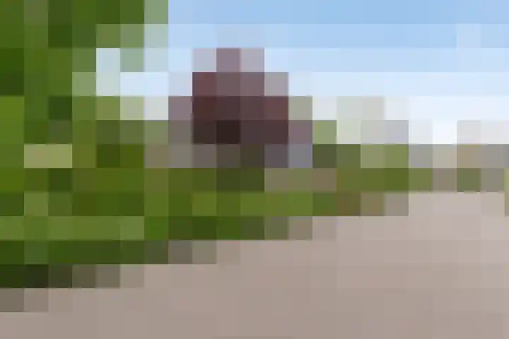 Goudsmedenstraat 5 Veendam thumbnail 6