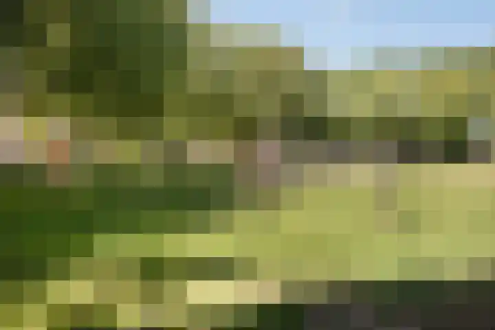 Goudsmidshoeve 429 Apeldoorn thumbnail 17
