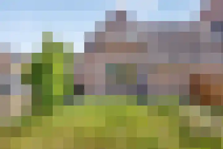 Goudsmidshoeve 429 Apeldoorn thumbnail 4