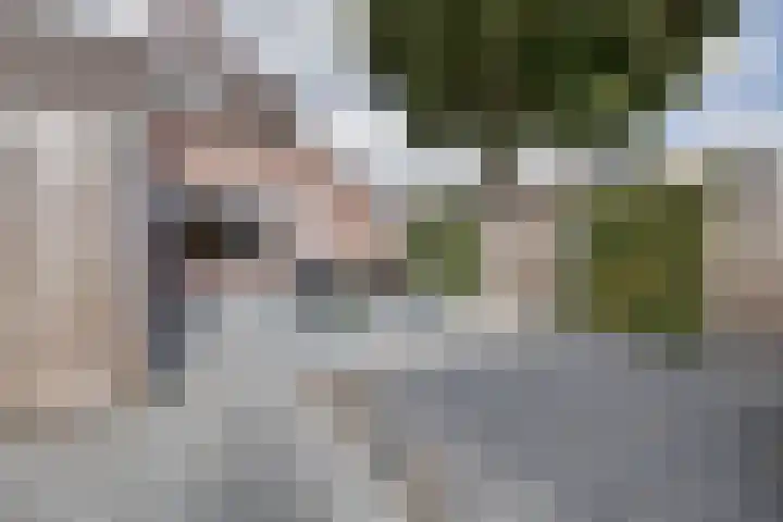 Goudsmidshoeve 604 Apeldoorn thumbnail 18