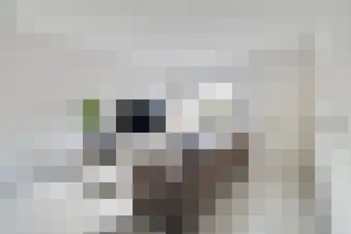 Goudsmidshoeve 604 Apeldoorn thumbnail 7