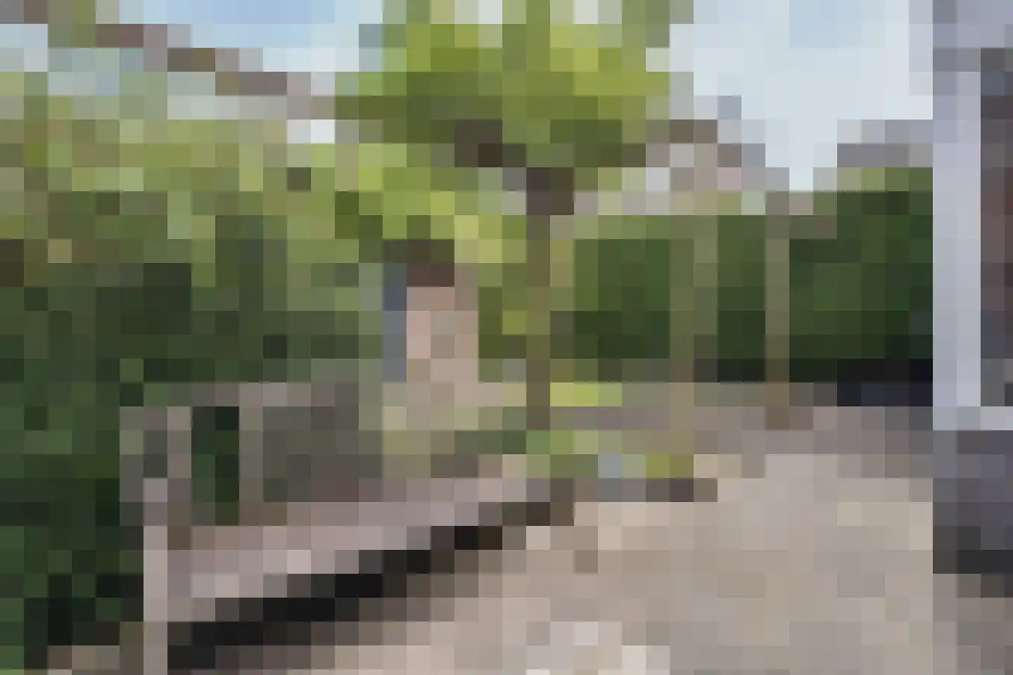 Goudsmidshoeve 618 Apeldoorn thumbnail 30