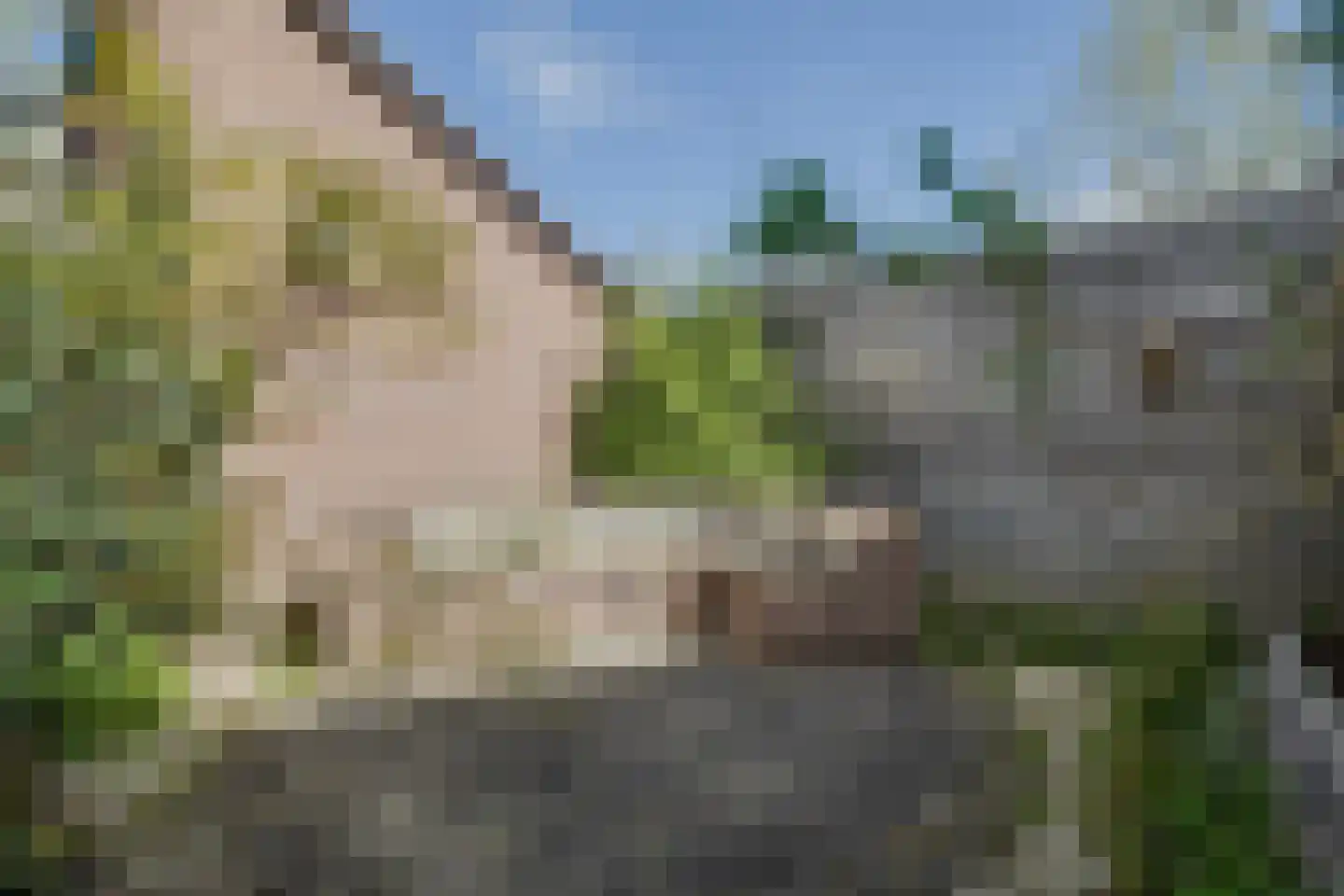 Goudsmidshoeve 618 Apeldoorn thumbnail 32