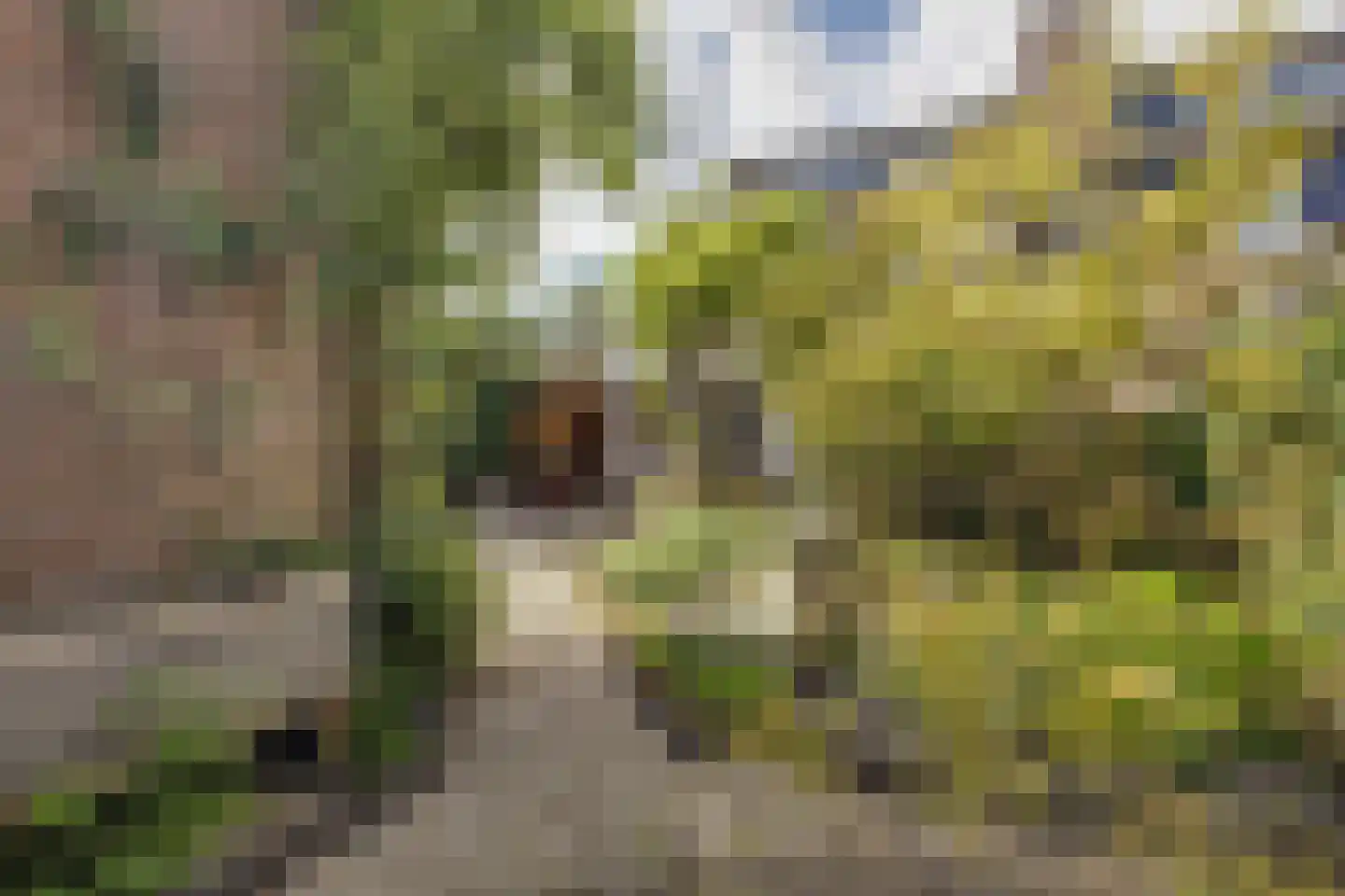 Goudsmidshoeve 618 Apeldoorn thumbnail 33