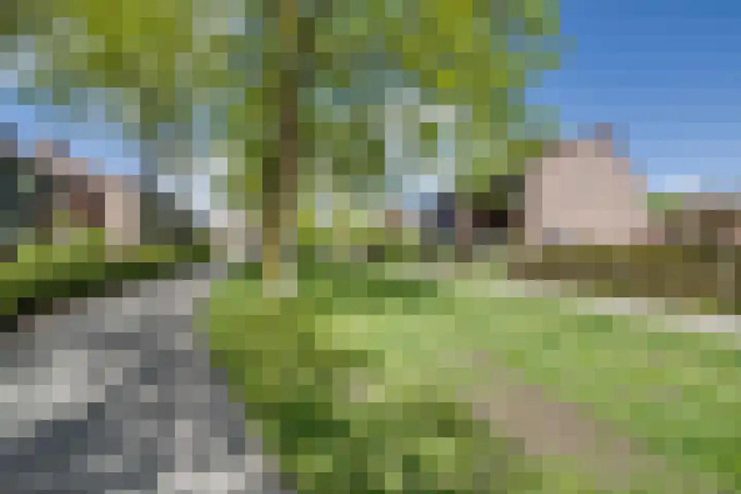 Goudsmidshoeve 618 Apeldoorn thumbnail 37