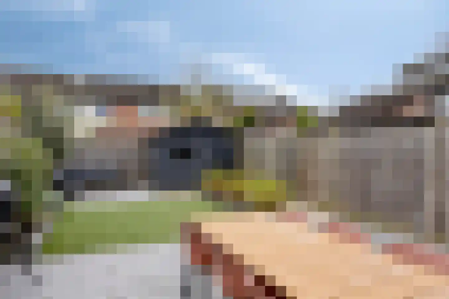 Goudsmidshoeve 623 Apeldoorn thumbnail 28