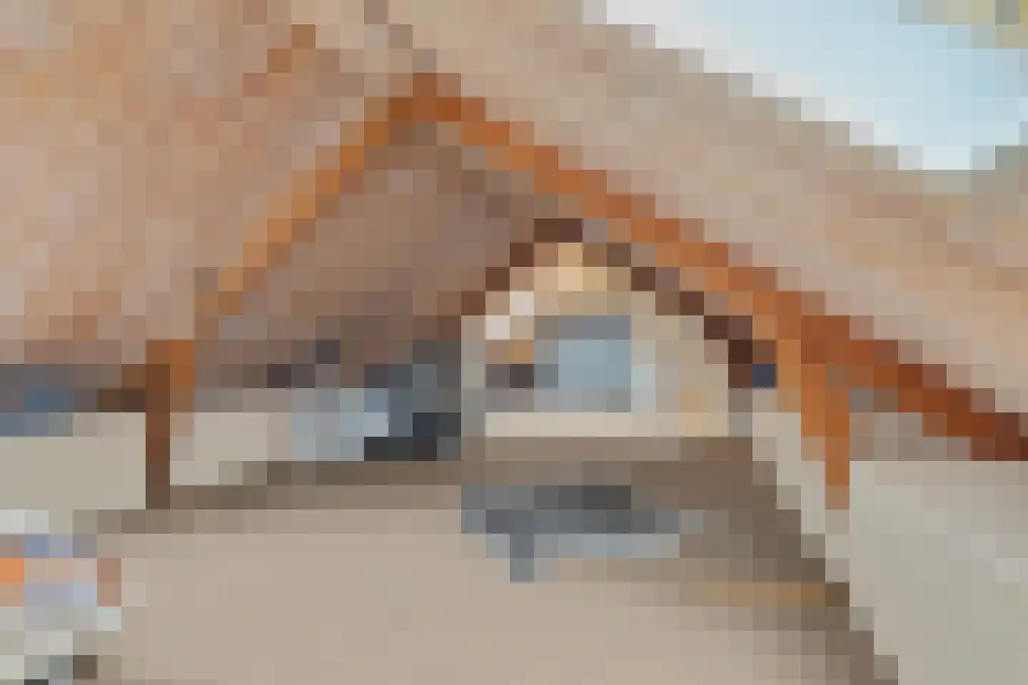 Goudsmidstraat 7 Venray thumbnail 30