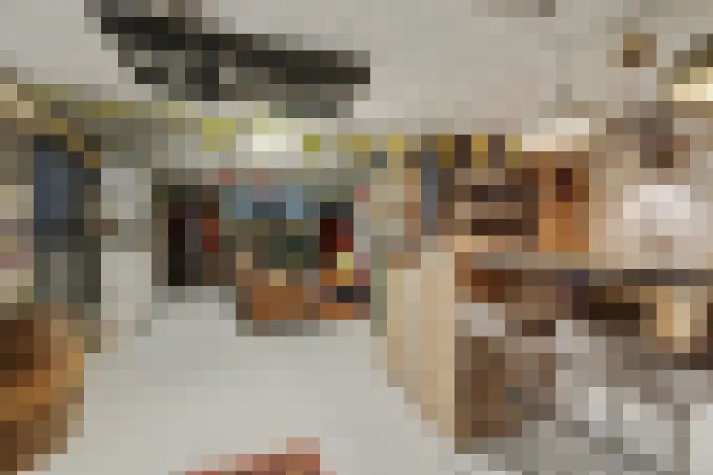 Goudsmidstraat 7 Venray thumbnail 34